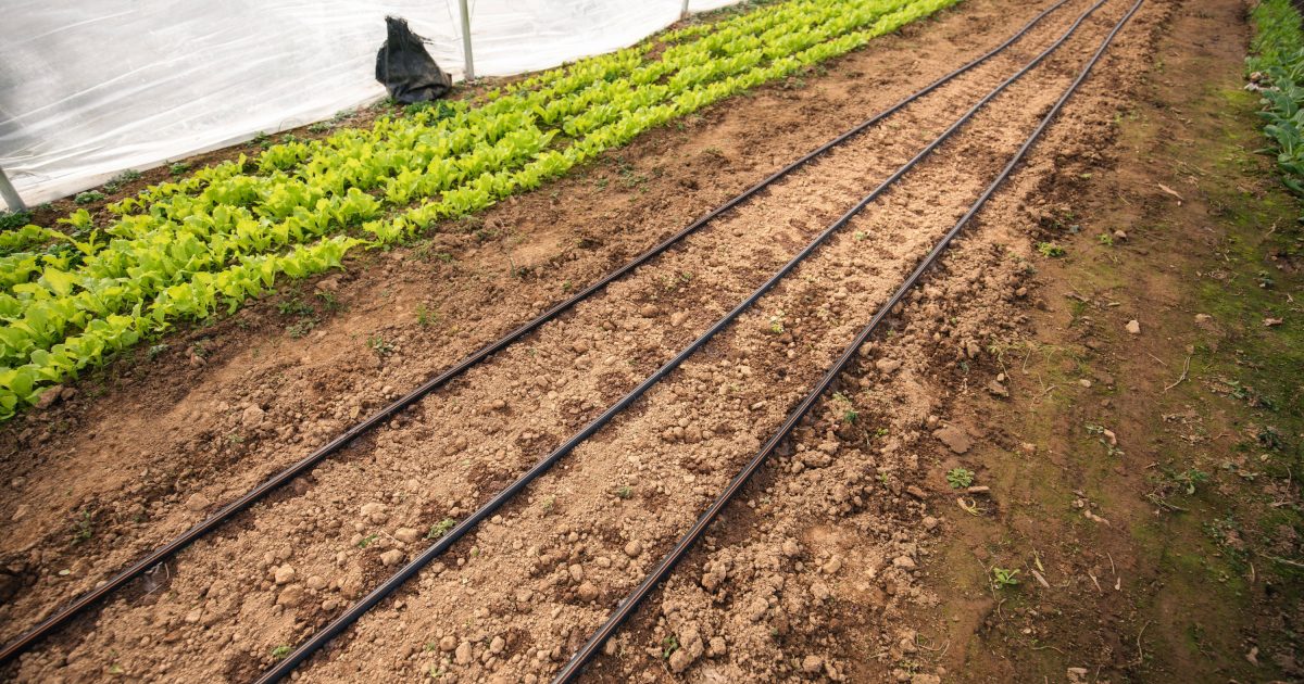 Drip Irrigation Farmers Friend