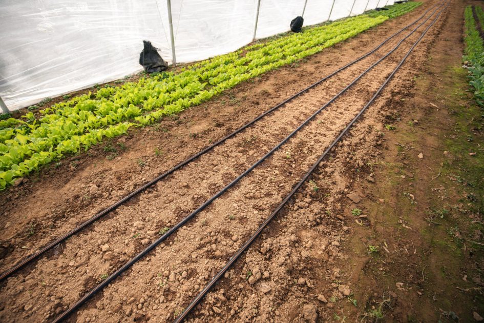 Drip Irrigation Technical Specifications Farmers Friend